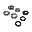 Bearing kit Volvo AWD Rear Axle / Differential 65mm - Volvo, Ford and Land Rover differentials - MKVOLVO-RDIFF01 - 1