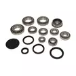 Bearing kit 0A6 VW 6spd Tiguan - Other Audi / VW parts - MKVW0A6.01 - 1