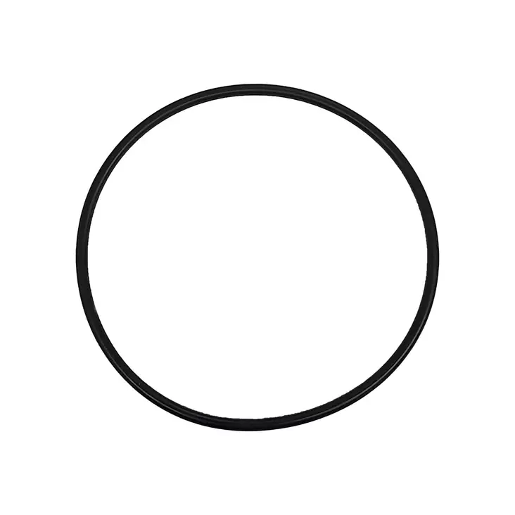 Gasket Haldex GEN4 pump O-ring - Haldex / AOC differentials - 1000061 - 1