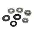 Bearing kit MB rear differential 124/202 - Mercedes-Benz differentials - MKMB-RDIFF06 - 1