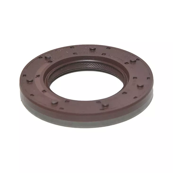 Huulitiiviste GS6-45DZ kytkinakseli - GS6-45BZ/DZ - 01033870B - 1