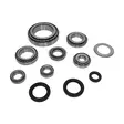 Bearing kit 02F / 02G Transporter T4 - Transporter T4, 02A 02B 02F 02G [5spd] - MK02F - 1